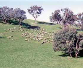 Burnelee Excursions On Horseback - Hotel QLD 2