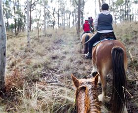 Burnelee Excursions On Horseback - Hotel QLD 1