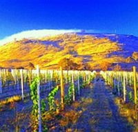 Surveyors Hill Winery - Hotel QLD