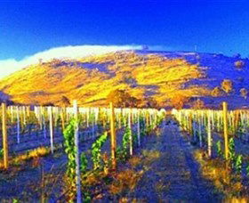 Surveyors Hill Winery - Hotel QLD 0