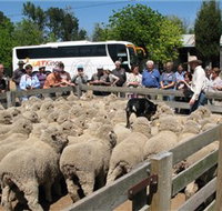 Gold Creek Station - Hotel QLD