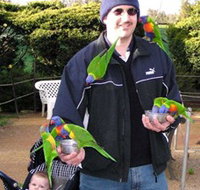 Canberra Walk In Aviary - Hotel QLD