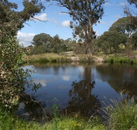 Cooleman Ridge - Hotel QLD