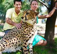 National Zoo  Aquarium - Hotel QLD