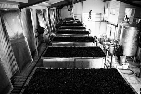 Clonakilla Wines - Hotel QLD 9