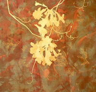 Fellia Melas Gallery - Hotel QLD