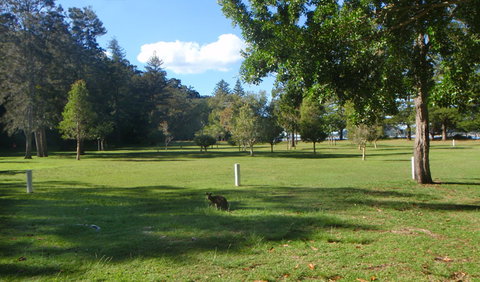 The Basin Picnic Area - Hotel QLD 1
