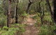 Box Head Track - thumb 1