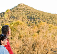 Piles Creek loop - Hotel QLD