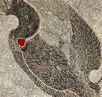 Marshall Arts - Hotel QLD