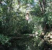 Wabunga Wayemba Charmillan Creek walking track - Hotel QLD