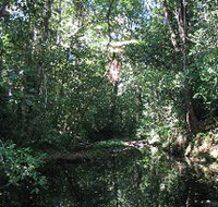 Misty Mountains Wilderness Walking Tracks - Hotel QLD