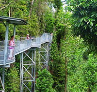 Mamu Tropical Skywalk - Hotel QLD