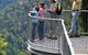 Mamu Tropical Skywalk - thumb 2