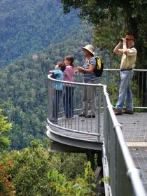 Mamu Tropical Skywalk - Hotel QLD 2