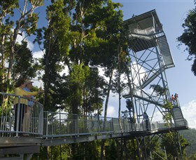 Mamu Tropical Skywalk - Hotel QLD 1