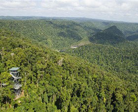 Mamu Tropical Skywalk - Hotel QLD 3