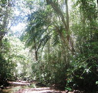 Mount Lewis National Park
