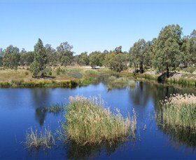 Narrandera Wetlands - Hotel QLD 0