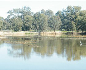 Narrandera Wetlands - Hotel QLD 1