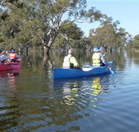 Doodle Cooma Swamp - Hotel QLD