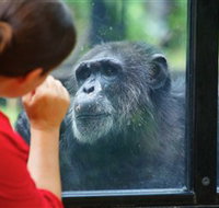 The Rockhampton Zoo - Hotel QLD