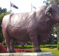 Rockhampton Bull Statues - Hotel QLD
