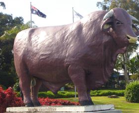 Rockhampton Bull Statues - Hotel QLD 0