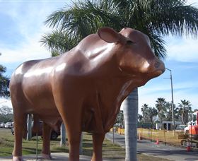 Rockhampton Bull Statues - Hotel QLD 3