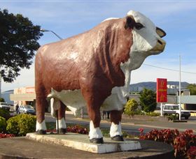 Rockhampton Bull Statues - Hotel QLD 2