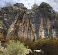 Borenore Karst Conservation Reserve - Hotel QLD