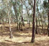 Chiltern-Mt Pilot National Park - Hotel QLD