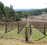 Habitat Vineyard - Hotel QLD