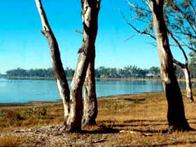 Lake Broadwater Conservation Park - Hotel QLD 0