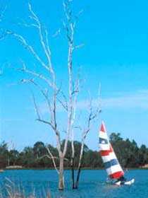 Lake Broadwater Conservation Park - Hotel QLD 2