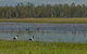 Lake Broadwater Conservation Park - thumb 1