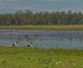 Lake Broadwater Conservation Park - Hotel QLD 1