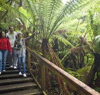 Otway Fly Treetop Adventures - Hotel QLD
