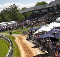 Thoroughbred Park Canberra Racing Club - Horse Racing in the Nations Capital - Hotel QLD