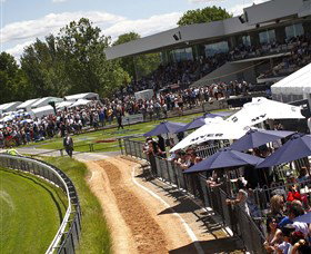 Thoroughbred Park Canberra Racing Club - Horse Racing In The Nations Capital - Hotel QLD 1