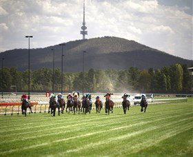 Thoroughbred Park Canberra Racing Club - Horse Racing In The Nations Capital - Hotel QLD 3