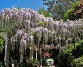 Mount Wilson NSW Hotel QLD