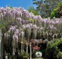 Nooroo Gardens - Hotel QLD
