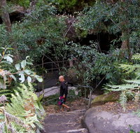 Leura Cascades Fern Bower