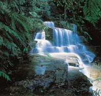 Leura Cascades - Hotel QLD