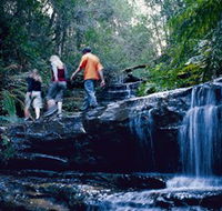 South Lawson Waterfall Circuit - Hotel QLD