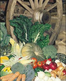 Mulgowie Real Farmers Markets - Hotel QLD 0