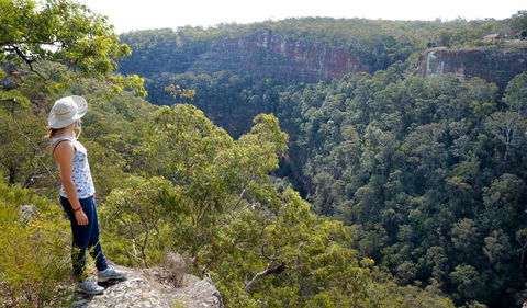 Glenbrook Gorge Track - Hotel QLD 2