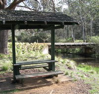 Barrington Tops State Forest - Hotel QLD