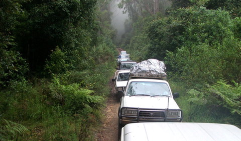 Carrai National Park - Hotel QLD 3